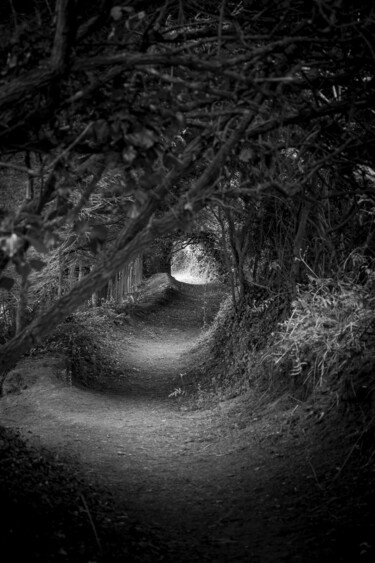 "Trouées 01" başlıklı Fotoğraf Michel Daumergue tarafından, Orijinal sanat, Fotoşopsuz fotoğraf