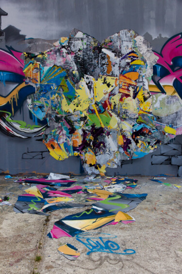 Photographie intitulée "Graff Park 10" par Michel Daumergue, Œuvre d'art originale, Photographie numérique Monté sur Alumini…