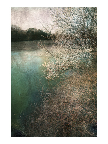 Photographie intitulée "Rive de Seine" par Michel Daumergue, Œuvre d'art originale, Photographie numérique