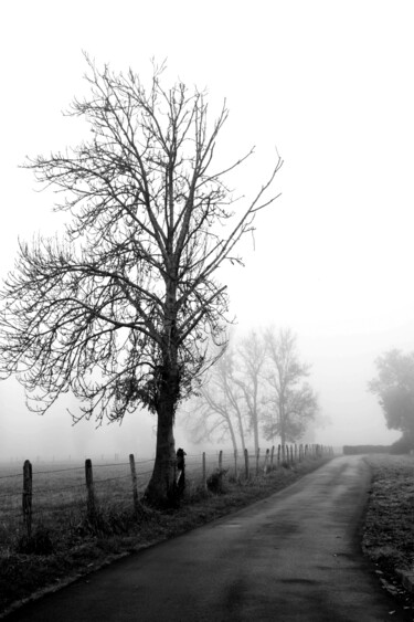 Photographie intitulée "Brouillard au bout…" par Michel De Ruyck, Œuvre d'art originale, Photographie numérique