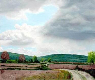 Peinture intitulée "ondée sur la plaine" par Michel De Ruyck, Œuvre d'art originale, Huile