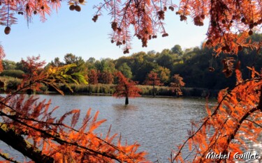 Photography titled "Etang de Boulieu en…" by Michel Guillet, Original Artwork