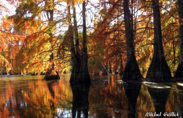 Fotografia intitulada "Etang de Boulieu en…" por Michel Guillet, Obras de arte originais