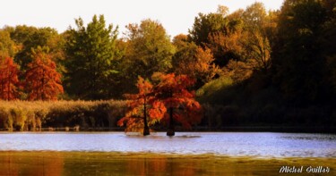 Photographie intitulée "Etang de Boulieu en…" par Michel Guillet, Œuvre d'art originale