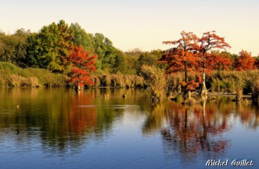 Photographie intitulée "Etang de Boulieu en…" par Michel Guillet, Œuvre d'art originale