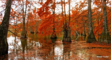 Photographie intitulée "Etang de Boulieu en…" par Michel Guillet, Œuvre d'art originale