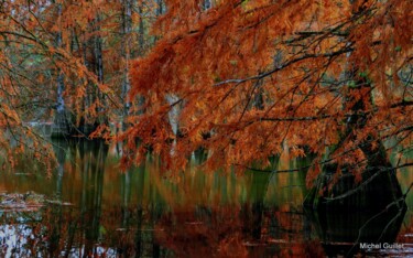 Photographie intitulée "Etang de Boulieu en…" par Michel Guillet, Œuvre d'art originale