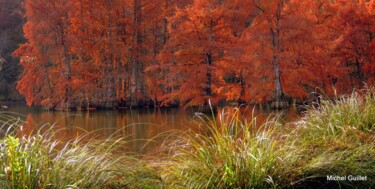 Photographie intitulée "Etang de Boulieu en…" par Michel Guillet, Œuvre d'art originale