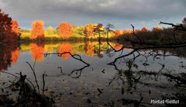 Photography titled "Plein feux sur Boul…" by Michel Guillet, Original Artwork