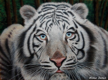 Dibujo titulada "Mohan" por Michel Guillet, Obra de arte original, Pastel