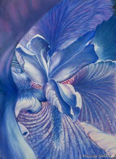 Rysunek zatytułowany „Coeur d'Iris” autorstwa Michel Guillet, Oryginalna praca, Pastel