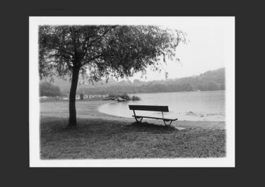 Photography titled "Le banc et l'arbre" by Michel Jegerlehner, Original Artwork, Analog photography