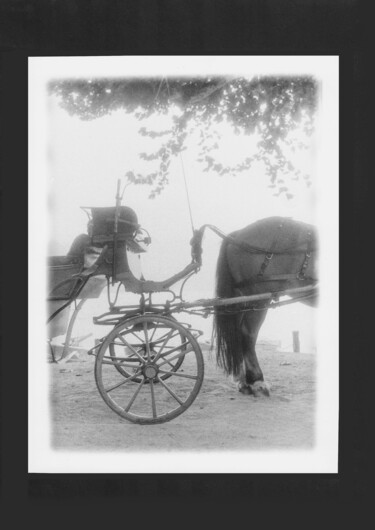 Photographie intitulée "La calèche" par Michel Jegerlehner, Œuvre d'art originale, Photographie argentique