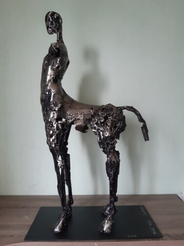 Sculpture titled "Centaure" by Michel Marzin, Original Artwork, Metals