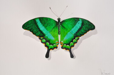 Peinture intitulée "PAPILIO PALINURUS" par Michel Michaux, Œuvre d'art originale, Huile