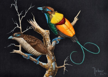 Peinture intitulée "oiseaux-de-paradis.…" par Michel Michaux, Œuvre d'art originale