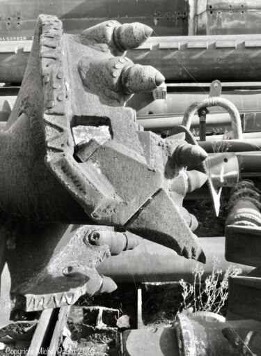 Photographie intitulée "Lézard à dents" par Michel Paulin, Œuvre d'art originale, Photographie numérique