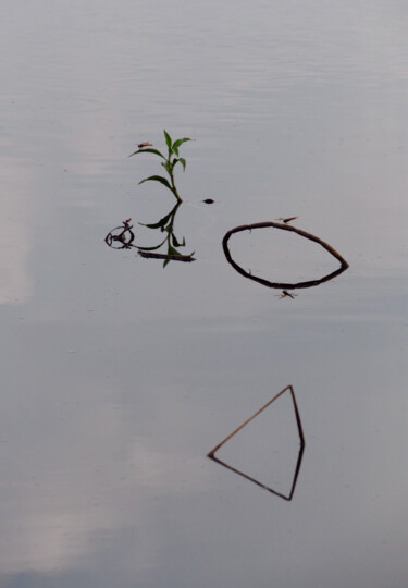 Photographie intitulée "Écriture végétale 4" par Michel Paulin, Œuvre d'art originale, Photographie numérique
