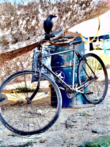 Fotografie getiteld "Gardien de vélo" door Michel Paulin, Origineel Kunstwerk, Digitale fotografie