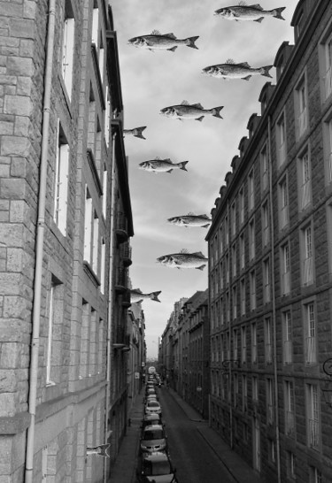 Fotografie mit dem Titel "Invasion fishes" von Michel Poirier, Original-Kunstwerk, Digitale Fotografie