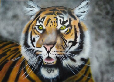Pittura intitolato "tigre" da Michel Ruelle (Aéro), Opera d'arte originale, Acrilico