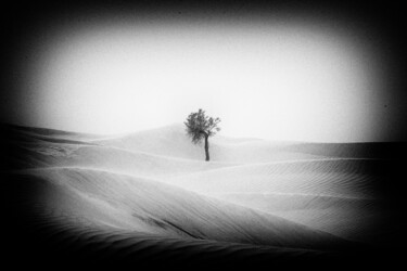 Photographie intitulée "Tunisia tree" par Michel Spingler, Œuvre d'art originale, Photographie numérique