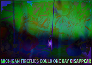 Цифровое искусство под названием "michigan fireflies…" - Michel Tabanou, Подлинное произведение искусства