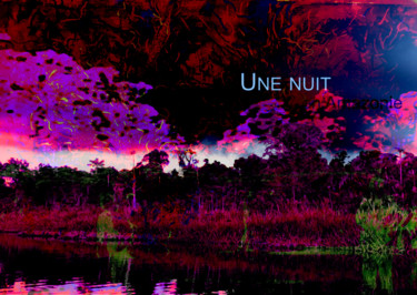 Digitale Kunst mit dem Titel "une nuit en amazonie" von Michel Tabanou, Original-Kunstwerk, Digitale Malerei
