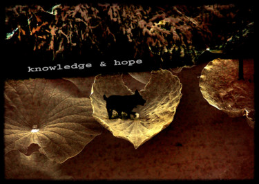Arte digitale intitolato "knowledge & hope" da Michel Tabanou, Opera d'arte originale, Pittura digitale