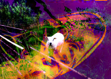 Digital Arts titled "an irish sheep" by Michel Tabanou, Original Artwork, Digital Painting