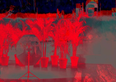 Arts numériques intitulée "suite de palmiers r…" par Michel Tabanou, Œuvre d'art originale, Peinture numérique
