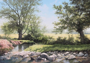 Peinture intitulée "Petit ruisseau au p…" par Michel Trapezaroff, Œuvre d'art originale, Huile