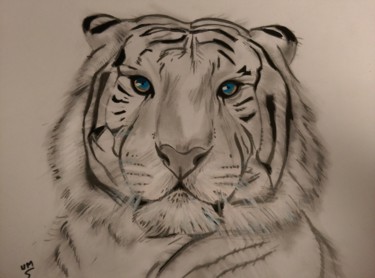 Tekening getiteld "tête de tigre" door Michel Uderso, Origineel Kunstwerk