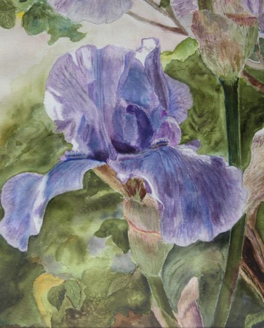 Schilderij getiteld "iris.jpg" door Michel Vandoorn, Origineel Kunstwerk, Aquarel