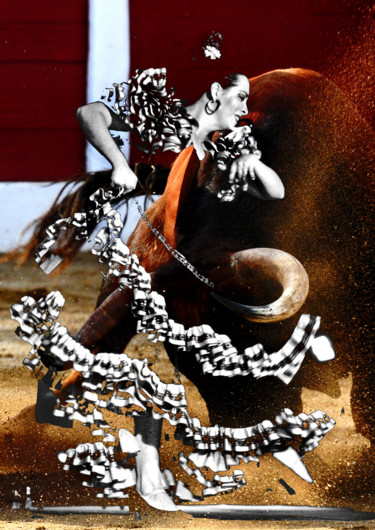Photography titled "Série "Flamenco y T…" by Michel Volle, Original Artwork
