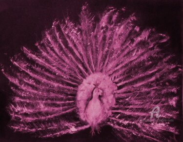 Painting titled "Pink Peacock" by Michela Curtis, Original Artwork, Oil