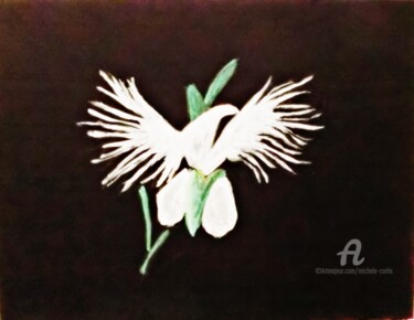 Painting titled "The Orchid" by Michela Curtis, Original Artwork, Oil