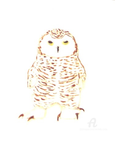 Peinture intitulée "Snowy Owl" par Michela Curtis, Œuvre d'art originale, Huile