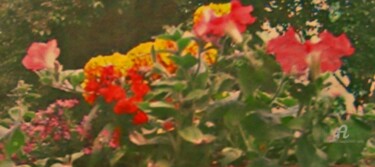 Photographie intitulée "Plaza Flowers" par Michela Curtis, Œuvre d'art originale