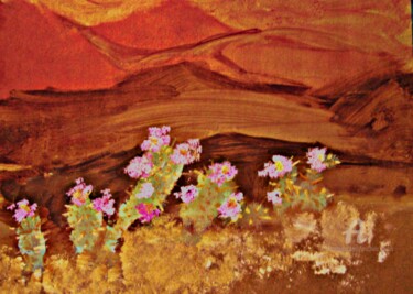 Malerei mit dem Titel "Cactus Flower" von Michela Curtis, Original-Kunstwerk, Öl