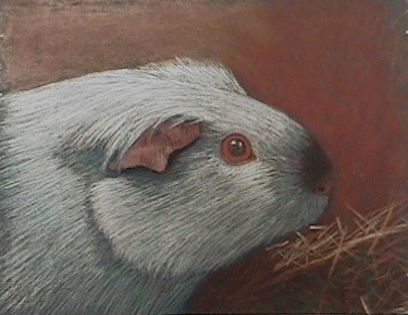 Peinture intitulée "cochon d'inde" par Michel Béquet, Œuvre d'art originale, Pastel