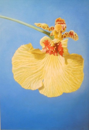 Malarstwo zatytułowany „Oncidium jaune” autorstwa Michel Béquet, Oryginalna praca, Pastel Zamontowany na Szkło