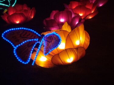 Photographie intitulée "Papillon lumineux" par Michèle Baylet-Brunet, Œuvre d'art originale, Photographie numérique