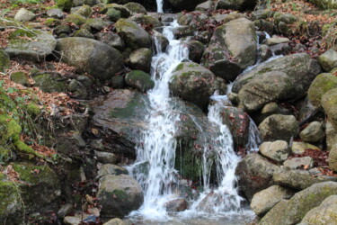 Fotografía titulada "Cascade sur pierre" por Michèle Baylet-Brunet, Obra de arte original, Fotografía digital