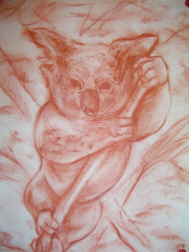 Zeichnungen mit dem Titel "Koala sur sa branche" von Michèle Baylet-Brunet, Original-Kunstwerk, Pigmente