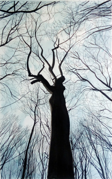 Peinture intitulée "Portrait du chêne c…" par Michèle Caranove, Œuvre d'art originale, Encre