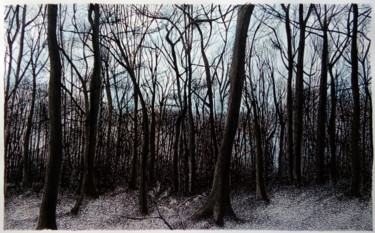 Painting titled "Après midi d'hiver…" by Michèle Caranove, Original Artwork, Ink