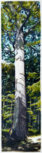 Pintura intitulada "Chêne remarquable "…" por Michèle Caranove, Obras de arte originais, Tinta