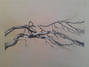 Disegno intitolato "branches (série)" da Michèle Caranove, Opera d'arte originale, Inchiostro