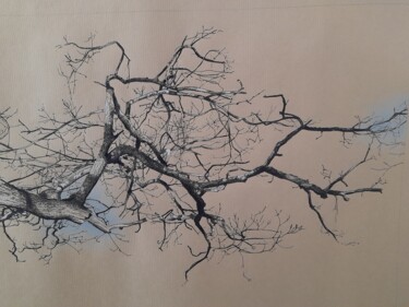 Desenho intitulada "Grandes Branches (S…" por Michèle Caranove, Obras de arte originais, Tinta